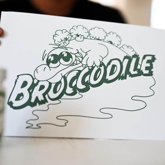 Firma Broccodile