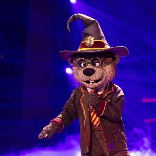 „The Masked Singer“
