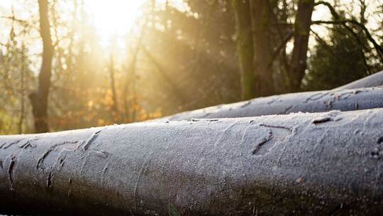 Wetter in Baden-Württemberg