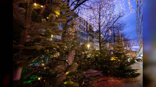 Vorstellung Winterbeleuchtung