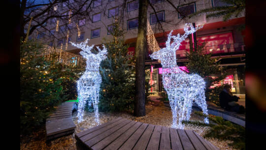 Vorstellung Winterbeleuchtung