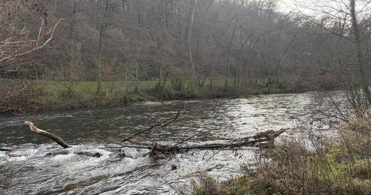This is how the Enz River is to be renaturalized between Enzberg and ...