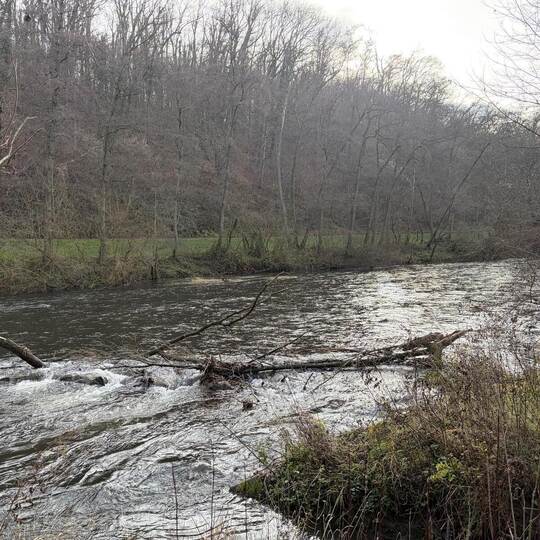 In diesem Bereich der Enz auf Höhe des Enzstegs ist das Wasser speziell in den Sommermonaten meist nicht tief genug.