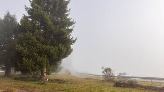 Polizist kommt bei Unfall mit Streifenwagen um