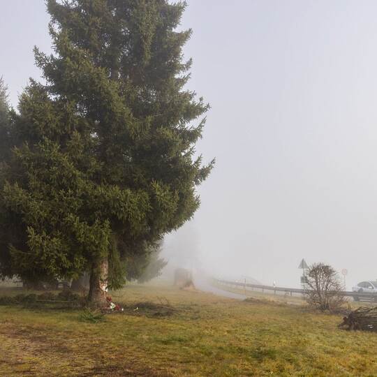Polizist kommt bei Unfall mit Streifenwagen um