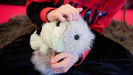 "Elektronischer Streichelzoo"