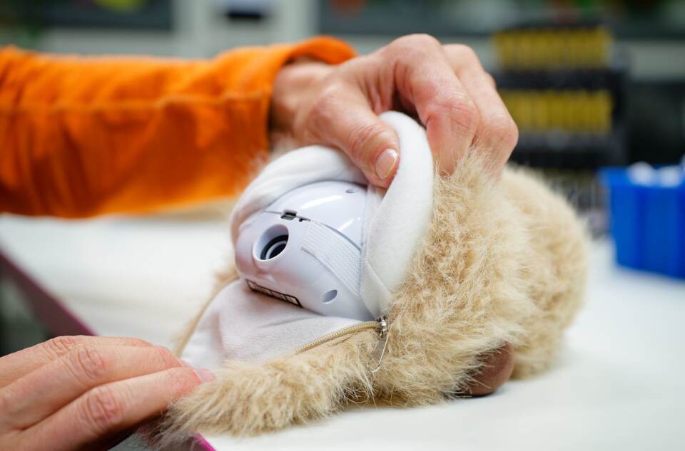 "Elektronischer Streichelzoo"