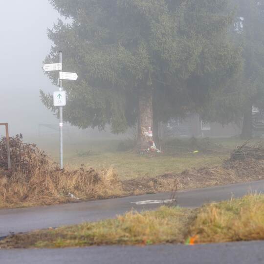 Polizist kommt bei Unfall mit Streifenwagen um