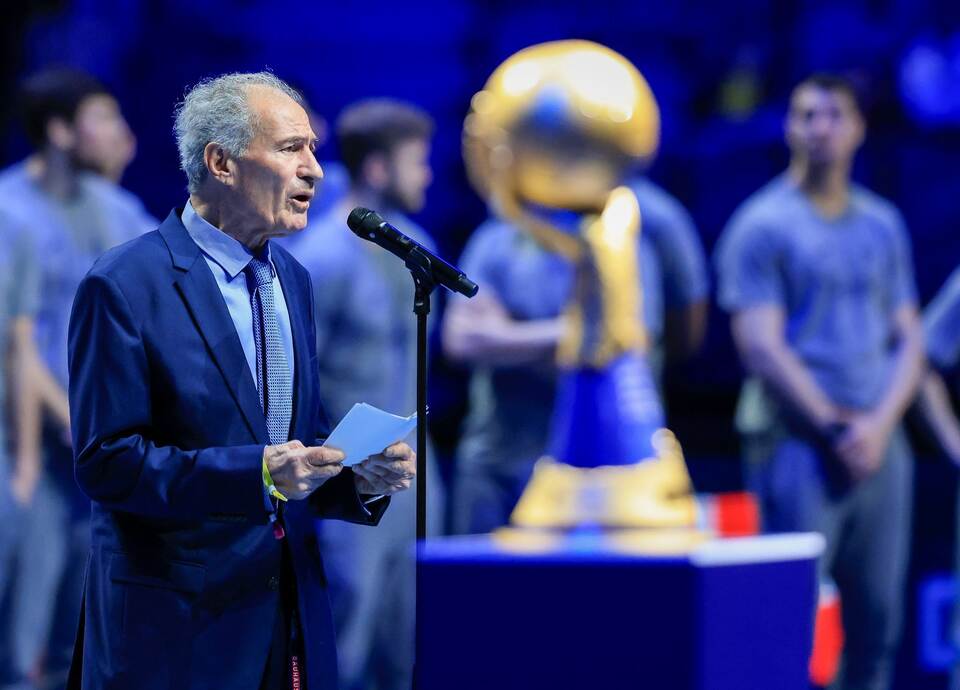 Handball-WM - Frankreich - Dänemark