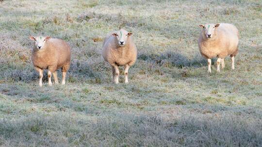 Wetter in Baden-Württemberg Wetter in Baden-Württemberg