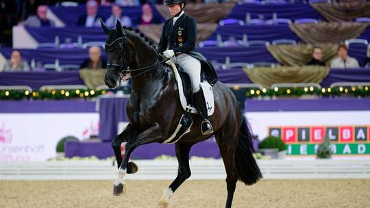 Internationales Festhallen-Reitturnier