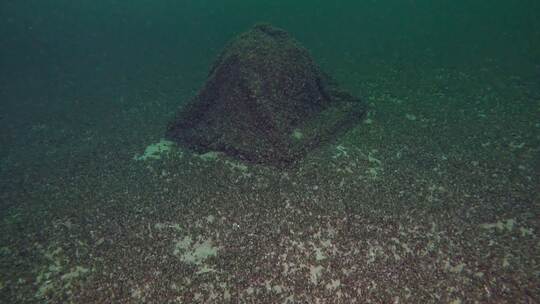 Gin-Kugel im Bodensee gefunden