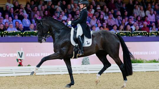 Internationales Festhallen-Reitturnier