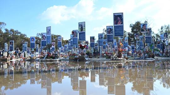 Nova Festival Memorial Nova Festival Memorial