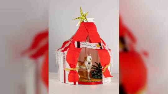 Amilia Fix (8) Bauschlott