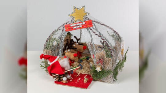 Niklas Höh (12) Neulingen