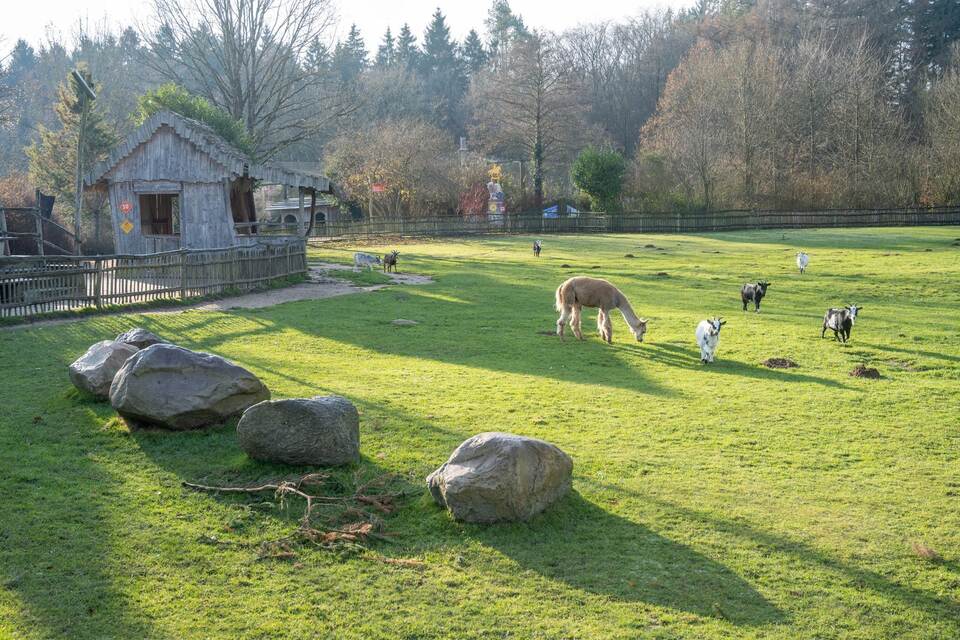 Verfahren gegen Tierpark wegen Verletzung in Streichelgehege