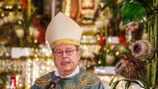 Bischof Georg Bätzing