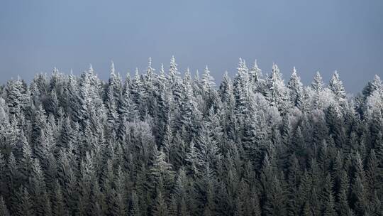 Wetter in Baden-Württemberg