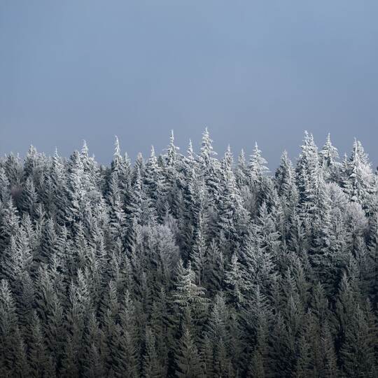 Wetter in Baden-Württemberg