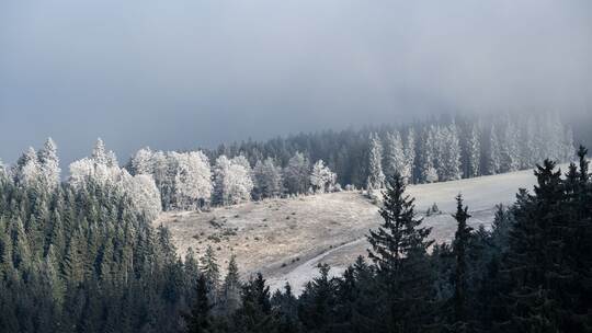 Wetter in Baden-Württemberg