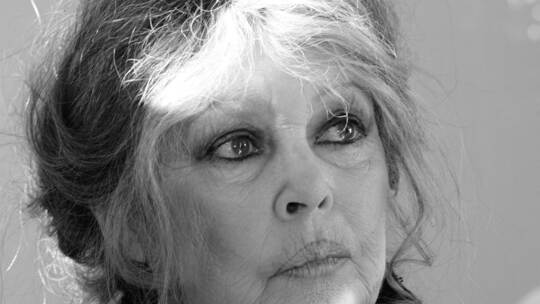 Brigitte Bardot gestorben Brigitte Bardot gestorben