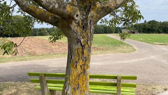 Sitzbänke in der Nähe von Bäumen – wie hier in Bieselsberg – oder gar im Wald haben es noch schwer. Dort ist die Gefahr herabfal