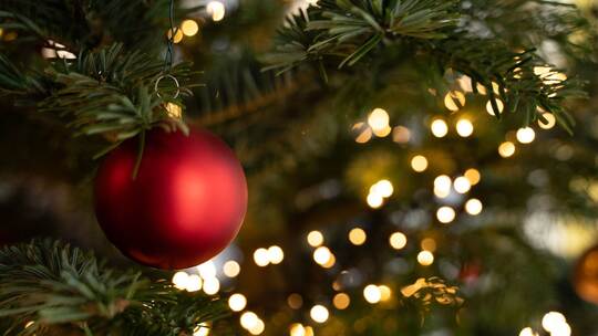 Christbaumkugel am Weihnachtsbaum