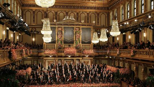 Neujahrskonzert der Wiener Philharmoniker