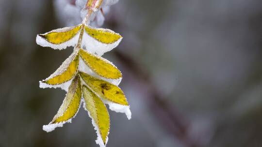 Wetter in Baden-Württemberg