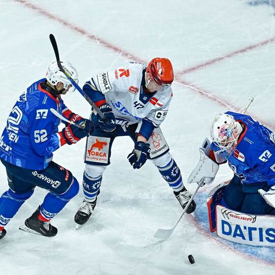 Adler Mannheim - Schwenninger Wild Wings