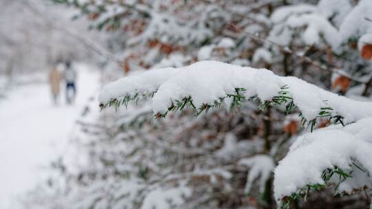 Winterwetter in Baden-Württemberg