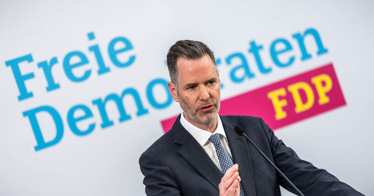 Radical proposal from the FDP: Let old laws expire