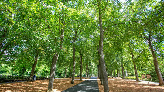Hauptfriedhof Pforzheim