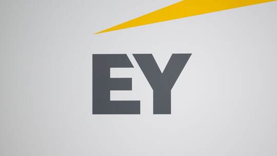 Wirtschaftsprüfungsgesellschaft Ernst & Young