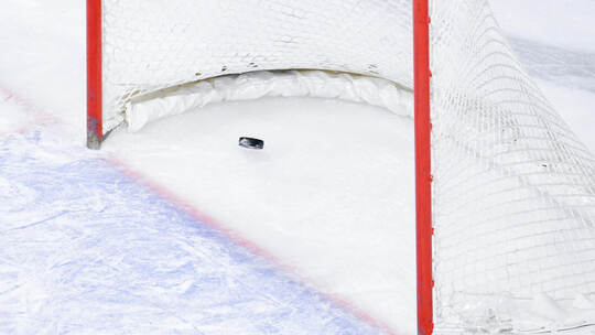 Adler Mannheim - Nürnberg Ice Tigers