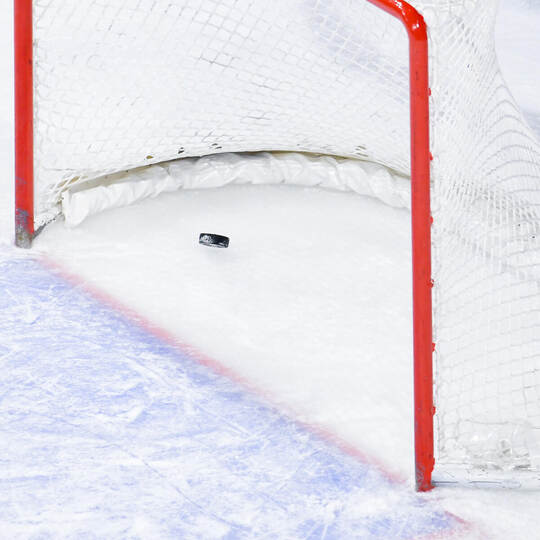 Adler Mannheim - Nürnberg Ice Tigers