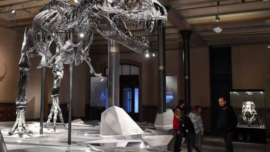 Auch ein Top-Predator fängt klein an: T. rex war ein Spätzünder