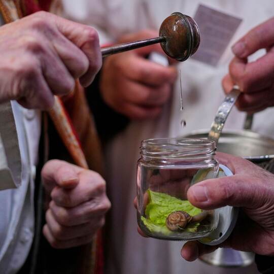 Tiersegnung in Madrid