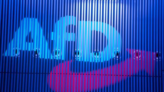 AfD Baden-Württemberg