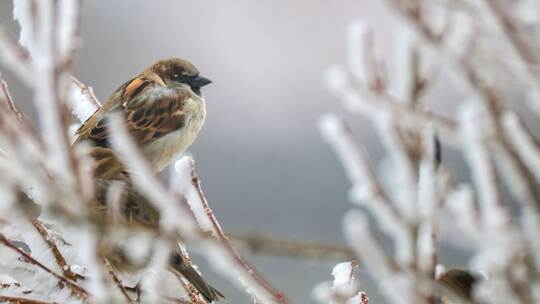 Wetter in Baden-Württemberg