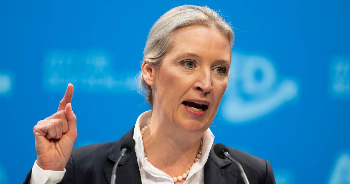 AfD-Chefin Alice Weidel in Calw? Darum wurde ihr Auftritt spontan abgesagt - Pforzheimer-Zeitung