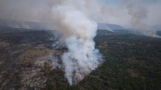 Waldbrände in Argentinien