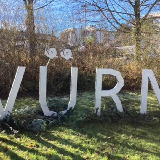 Zwei Schnecken sind die Tüpfelchen auf dem „Ü“. Würmle e.V.