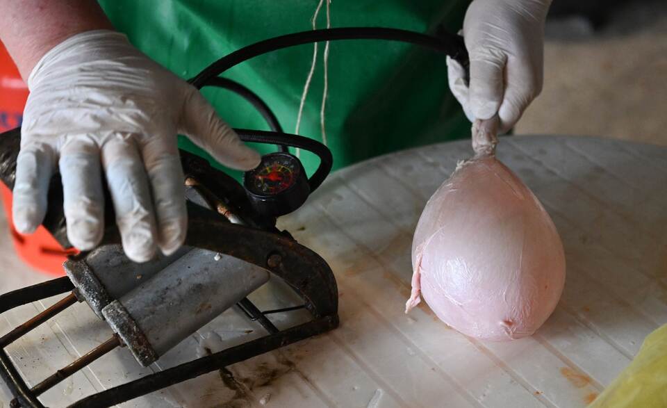 Produktion von traditionellen Fastnachts "Saublodere"