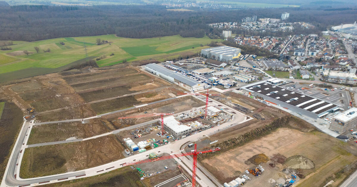 Worth €50,000: Unknown persons steal excavator in Mühlacker
