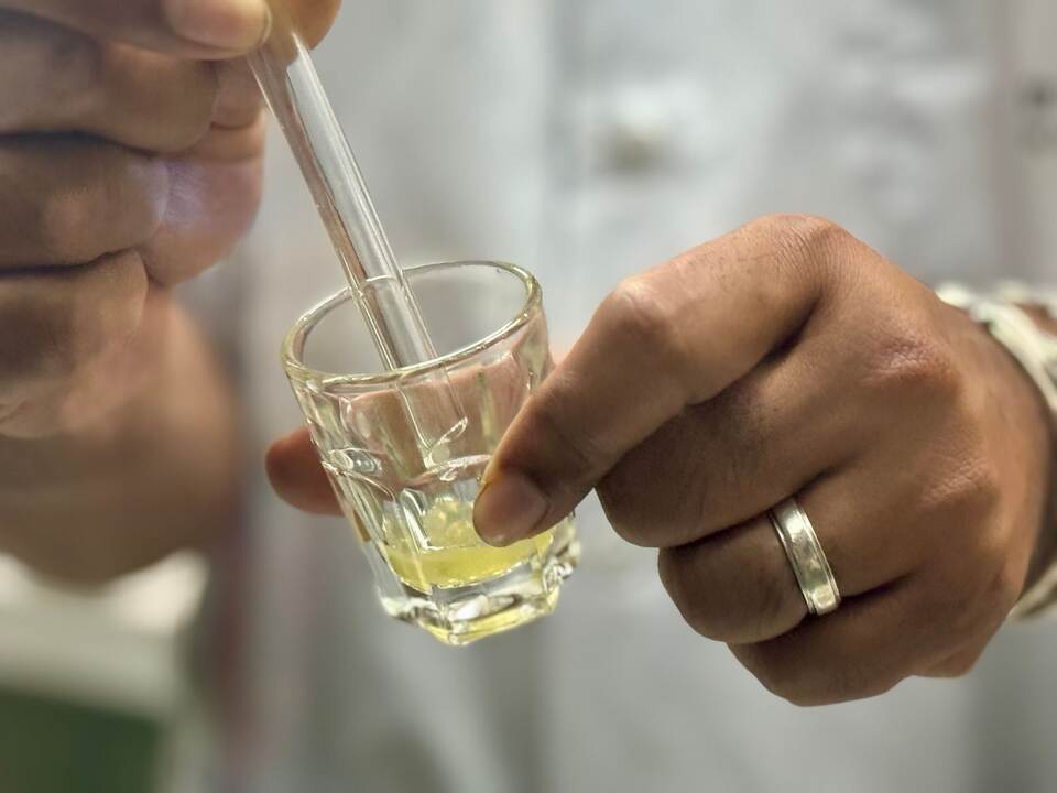 Schlangenfarm in Bangkok zur Herstellung von Antiserum