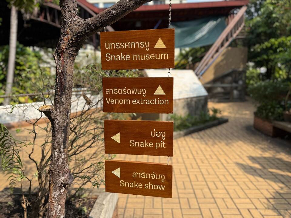 Schlangenfarm in Bangkok zur Herstellung von Antiserum