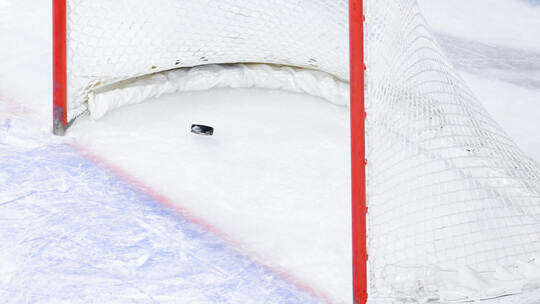 Adler Mannheim - Nürnberg Ice Tigers