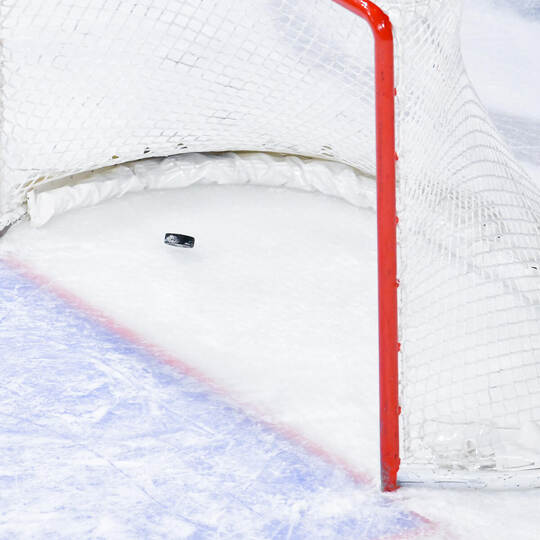 Adler Mannheim - Nürnberg Ice Tigers